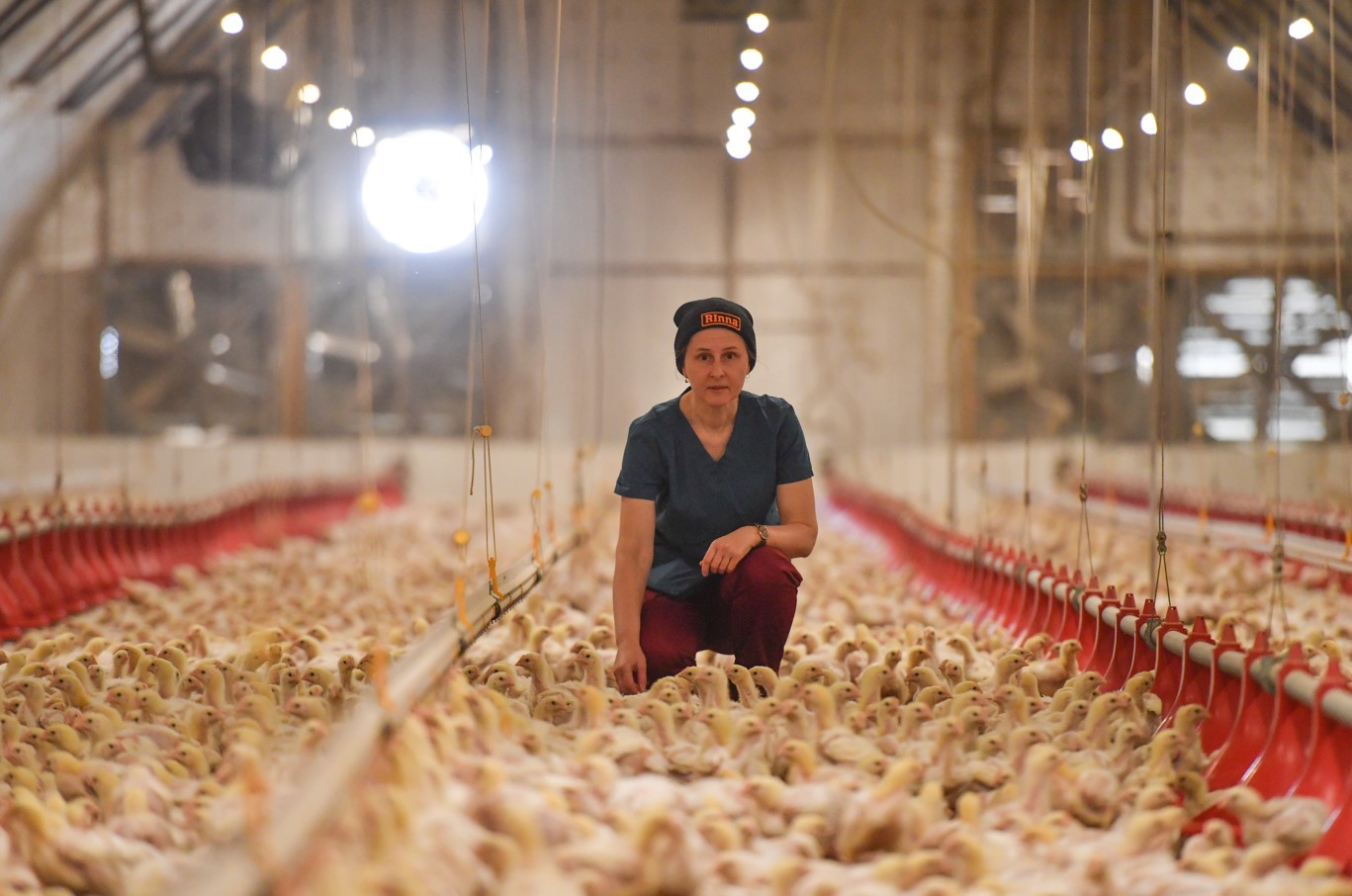 Tól ónim tórge ozsa ıgi