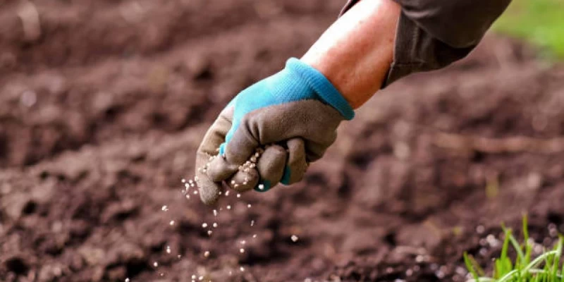 Qostanaıda 16 jer ýchaskesi memleketke qaıtaryldy