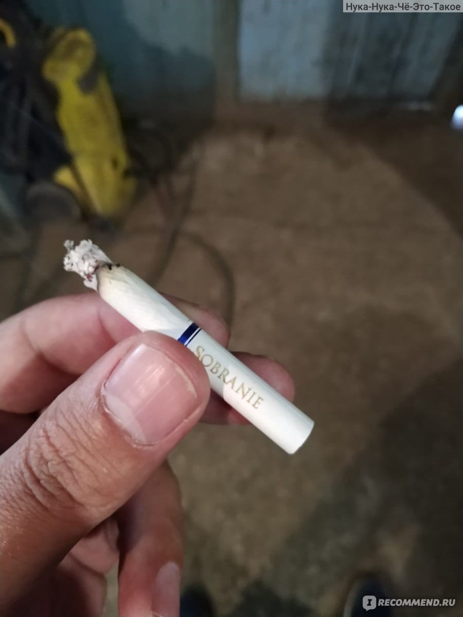 Temeki qaldyǵy úshin qoǵamdyq jumysqa tartyldy