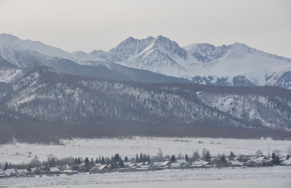Buqtyrma boıy ıen orman