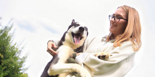 Elimizde zoovolonterlik qozǵalys júıeli túrde damyp keledi