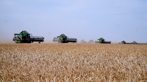 Astyq jınaý kórsetkishi boıynsha Aqmola oblysy kósh bastady