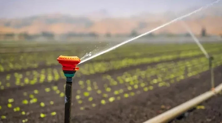 2026 jyly sý tapshylyǵy qaýpi bar: agrarlarǵa ylǵaldy kóp qajet etetin daqyldardy qysqartý usynyldy