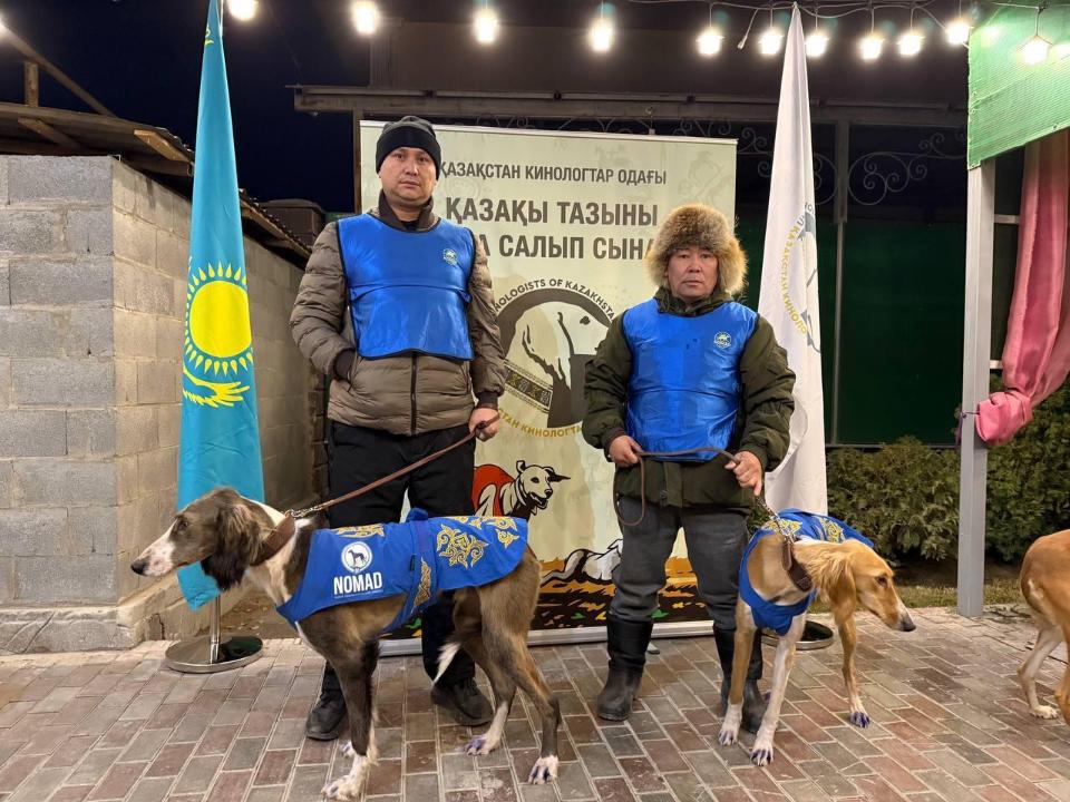 Tazy ıtter ańshylyǵy: NOMAD bul joly da – úzdik