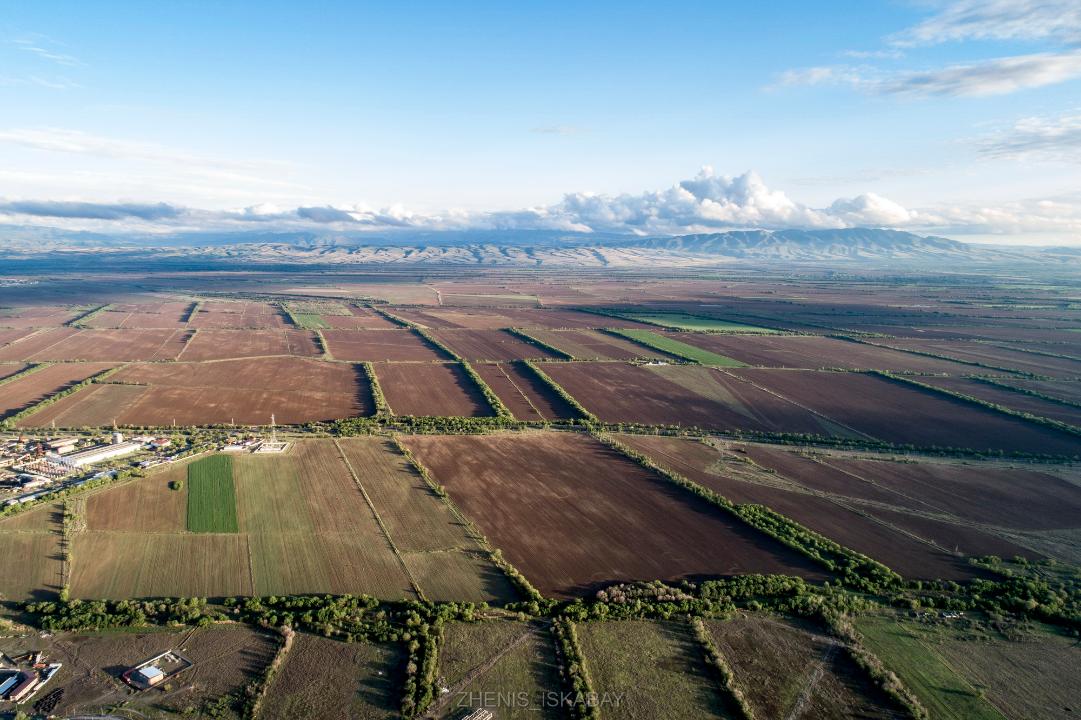 Jetisýda 603 myń gektar jer memleketke qaıtaryldy