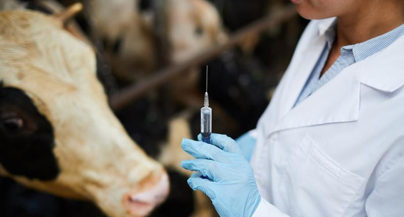 Veterınarııa salasy syn kótermeıdi