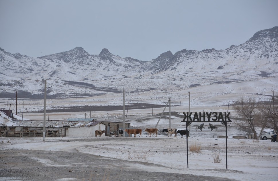 Janǵa jaıly Januzaq