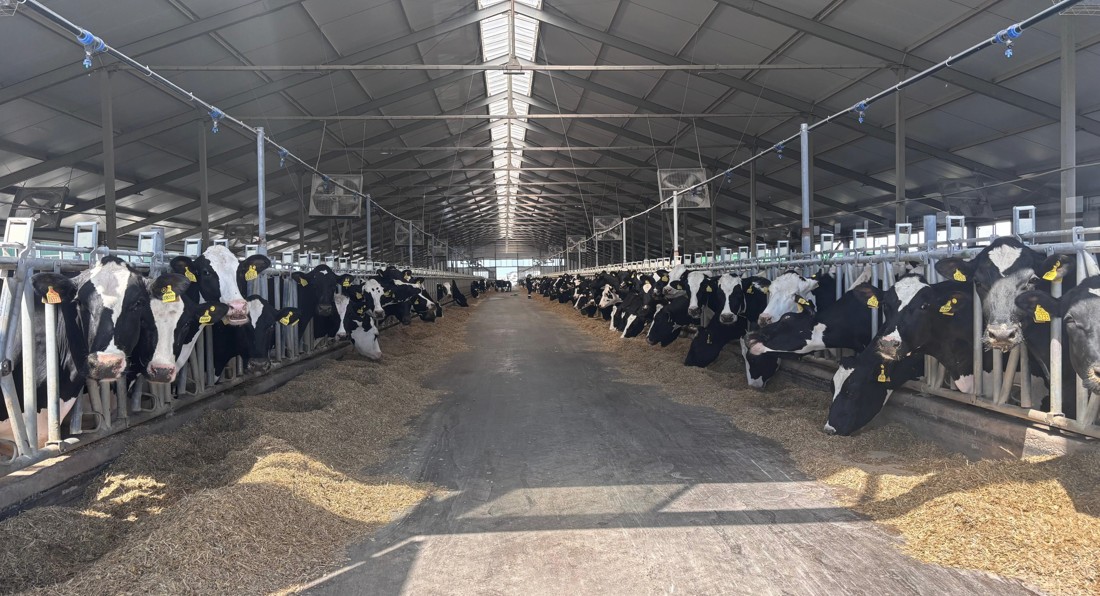 Sýbsıdııanyń qaıtarymy bola ma?