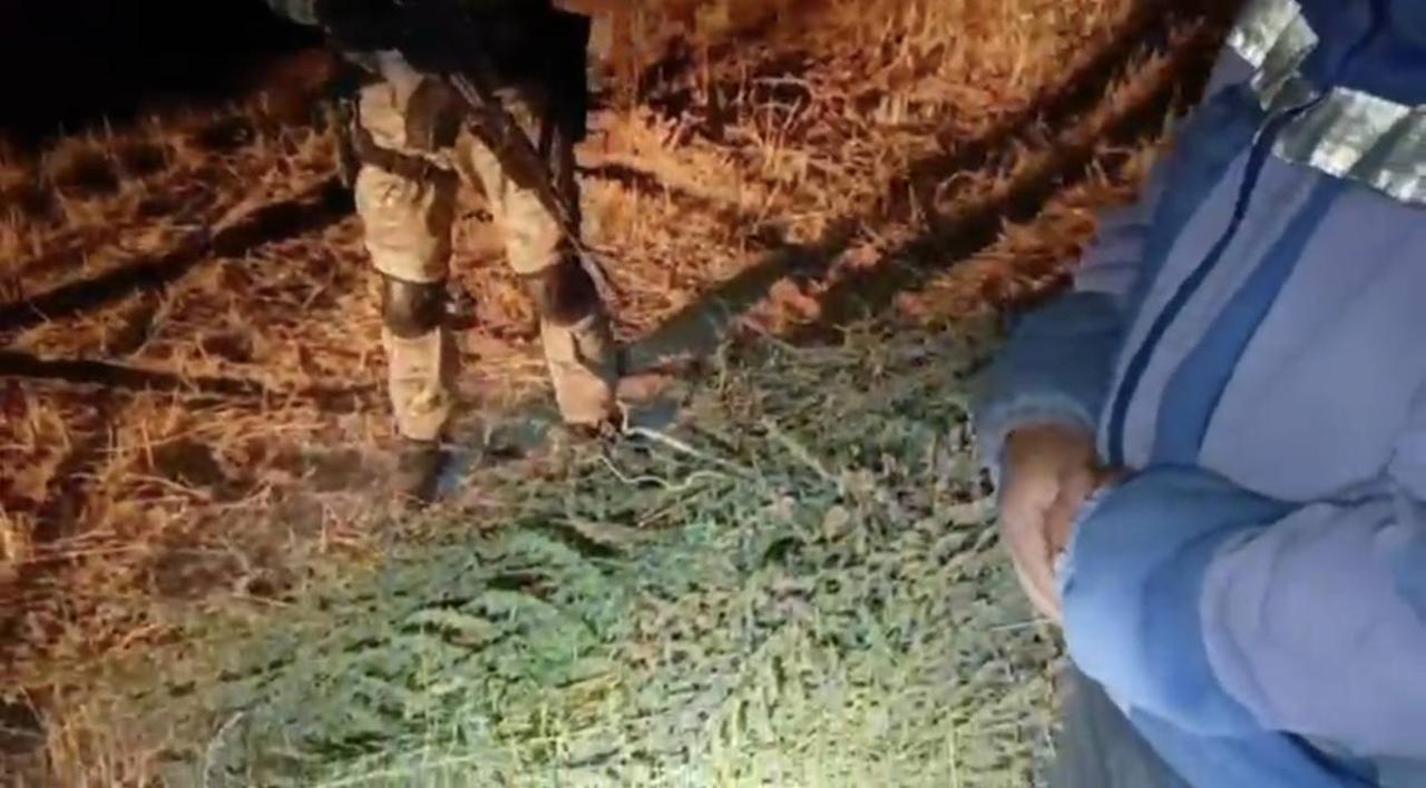 Marıhýana jınaǵan turǵyn ustaldy