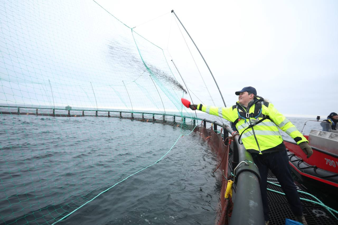 Mańǵystaýda Ortalyq Azııadaǵy alǵashqy teńiz akvasharýashylyq jobasy iske asyp jatyr