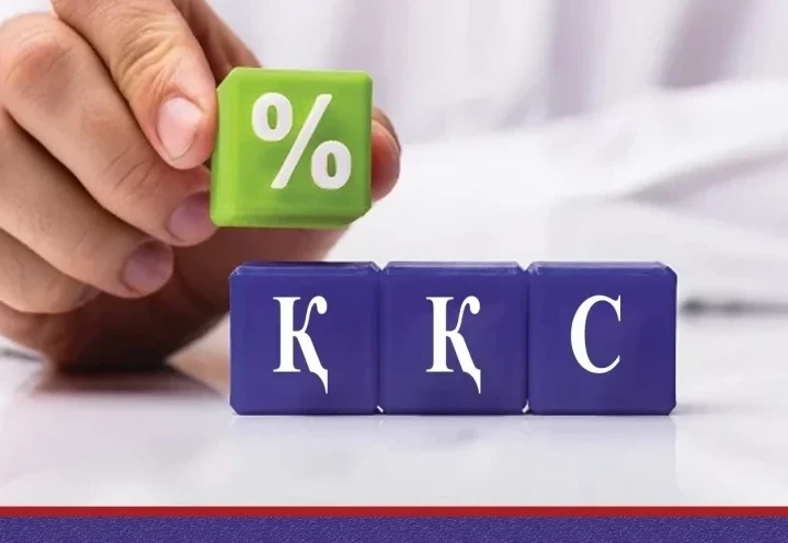 Salyq bereshegi bar kásipkerler qaryzyn keıinge qaldyra alady