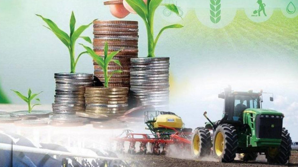 Mańǵystaýda aýyl sharýashylyǵy ónimderinen 38 mıllıard teńge tabys túsken