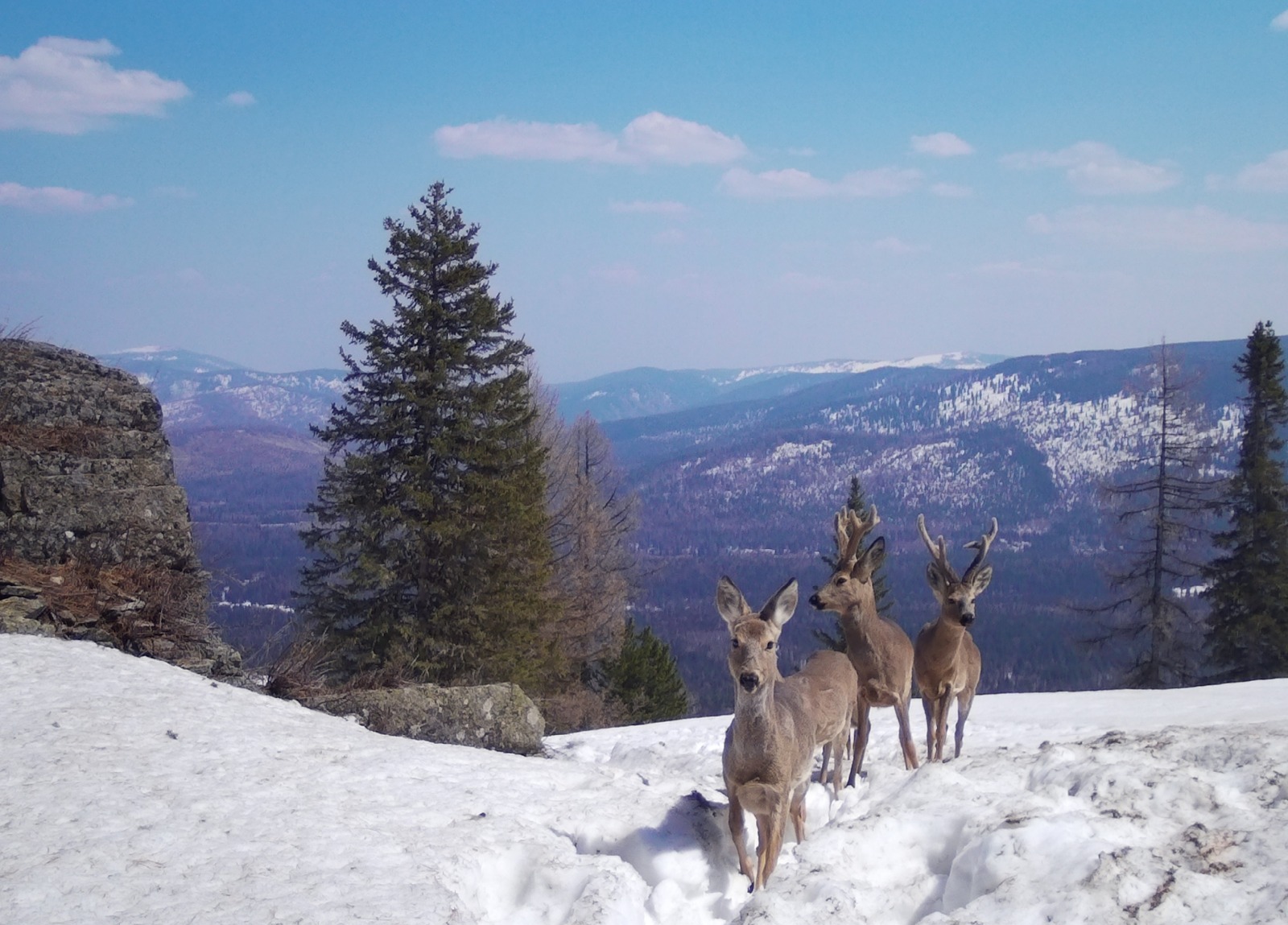 Qysqy týrızmniń qalaýly baǵyttary