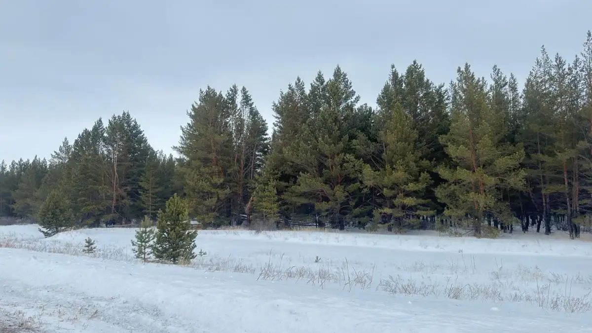 Shyrsha baltalaǵanǵa batpan jaza bar