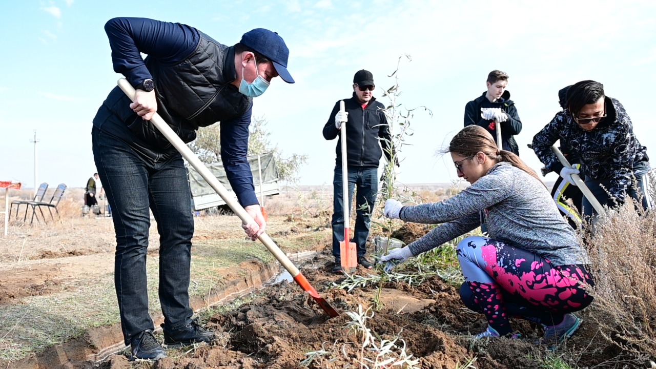 Mádenıet pen tártiptiń úılesimi