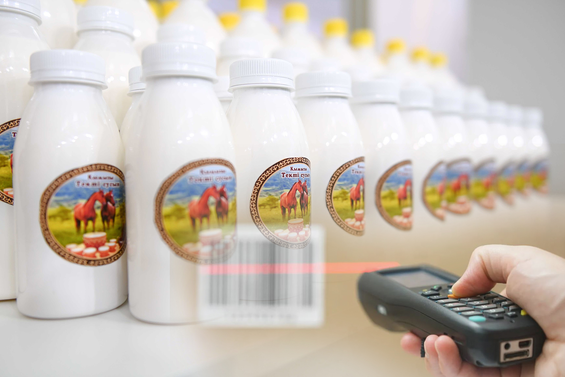 Ulttyq taýarlar katalogi: naryqty júıeleý bastamasy