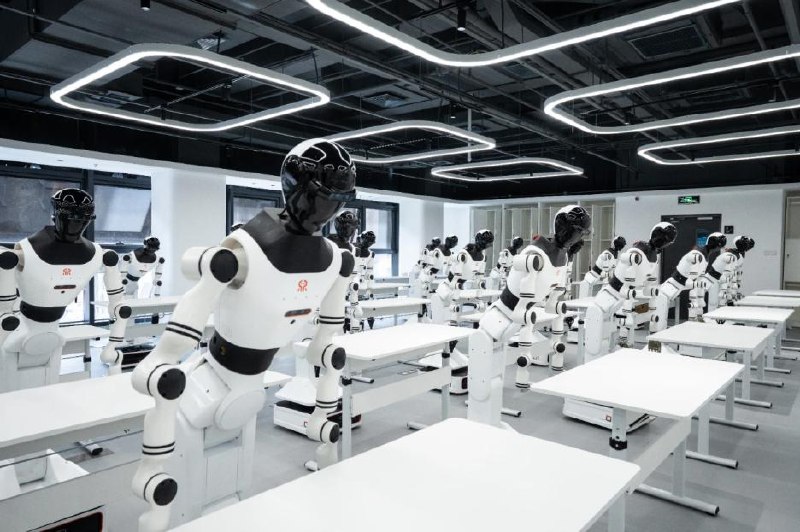 Robottar baýlıtyn mektep