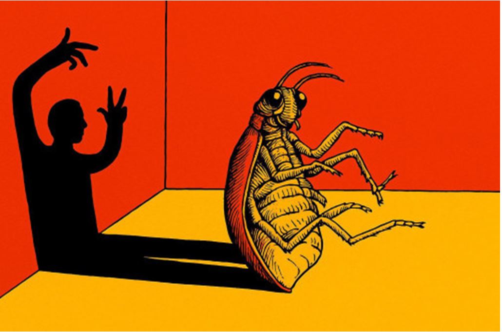 Áleýmettik masyldyqtyń máni nede?