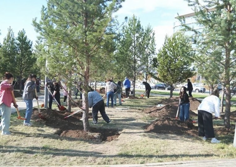 Qorshaǵan ortany kórkeıtetin ekologııalyq baǵdar