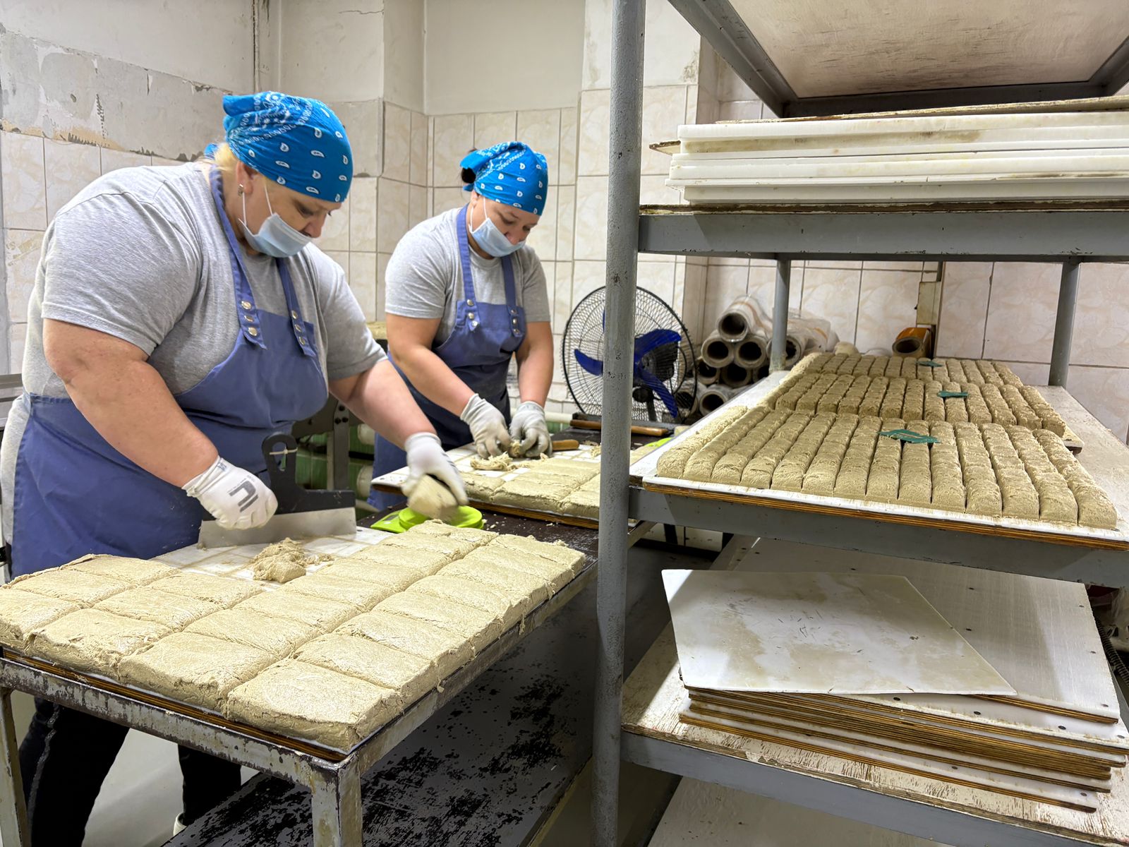 Maıdyń sapalysy О́skemende óndiriledi