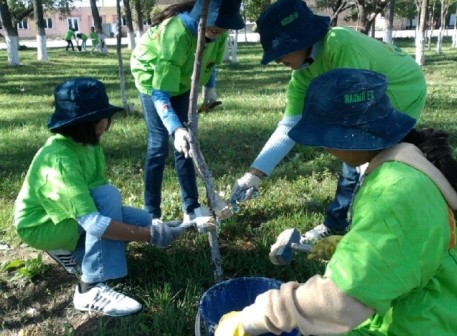 Jasyl el jobasy arqyly 40 mıllıon túp aǵash otyrǵyzyldy