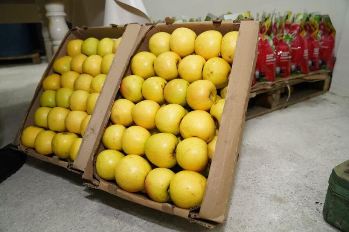 Túrkistan oblysynda jemis-jıdek óńdeıtin zaýyt iske qosyldy