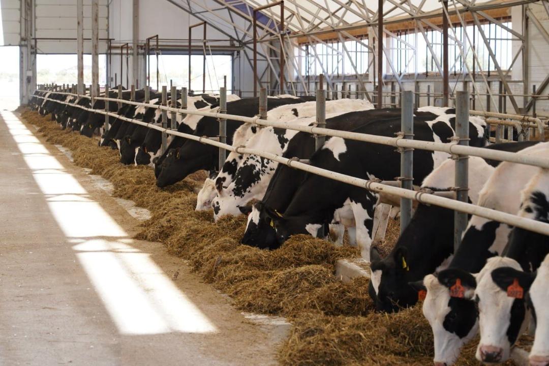 Almaty oblysynda 89 mlrd teńgege jemshóp óndiretin zaýyt salynady