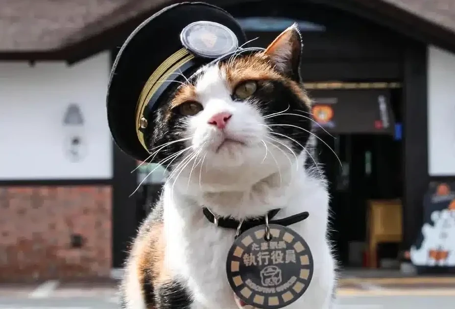 Japonııadaǵy stansııaǵa mysyq bastyq taǵaıyndaldy