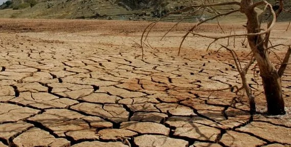 Elimizdiń qaı óńirlerinde qurǵaqshylyq qaýpi bar? Mınıstr jaýap berdi