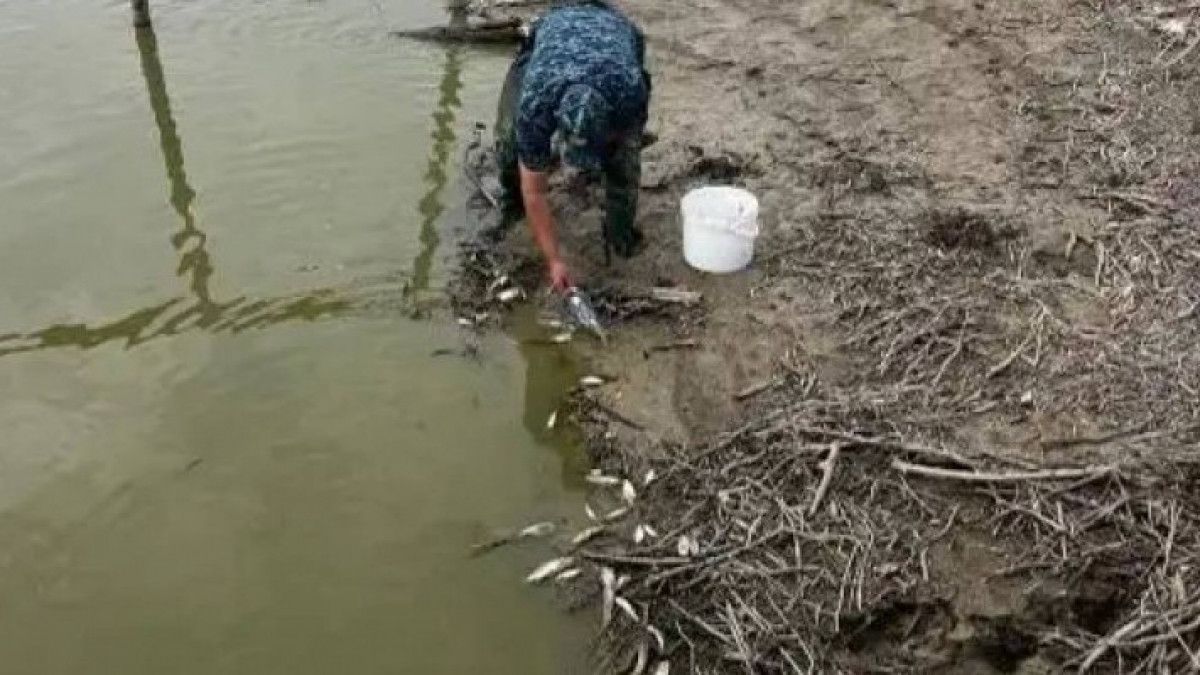 Torǵaı ózeninde balyq qyrylyp jatqany ras pa?