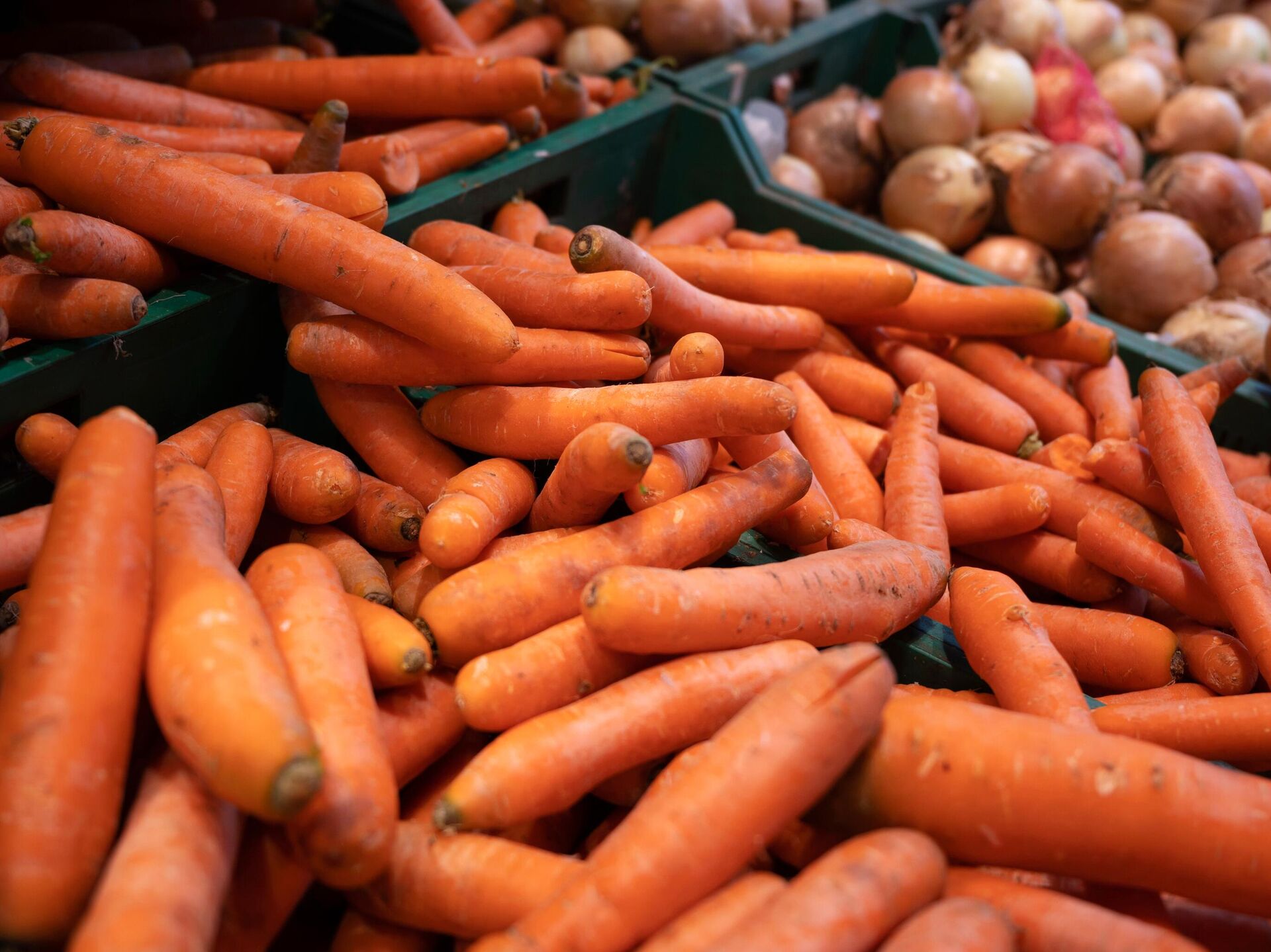 Sharýalardy alańdatqan ahýal