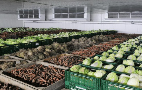 Logıstıkalyq ortalyq kókóniske tolady