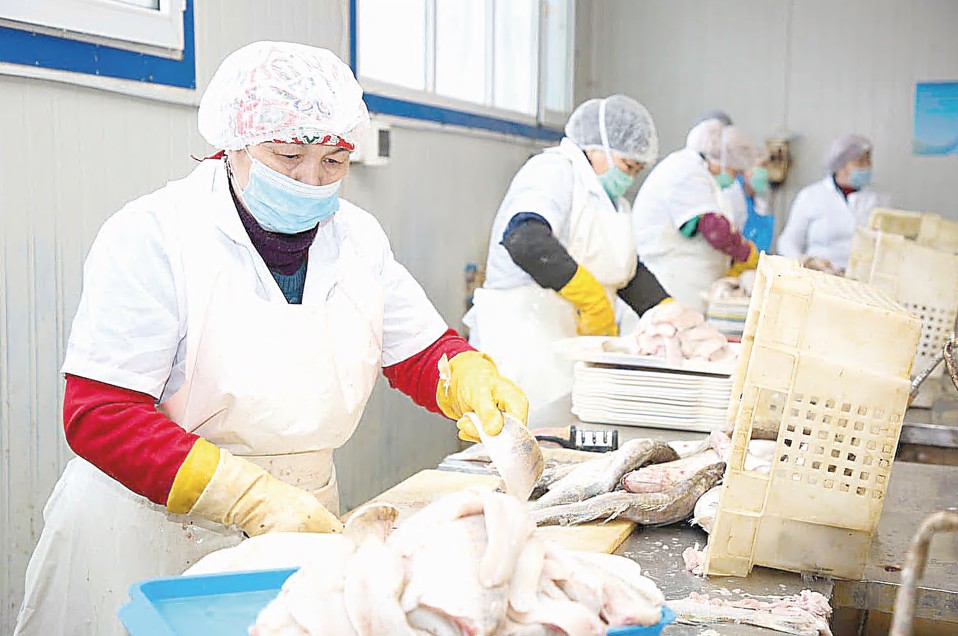 Balyq sharýashylyǵynda bereke bar