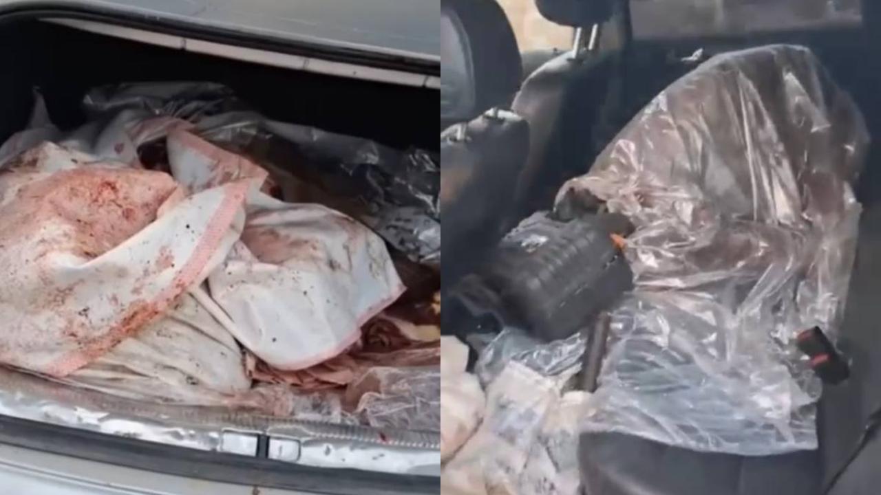 Jambyl oblysynda eki adam jaıylymdaǵy jylqyny atyp alyp ketken