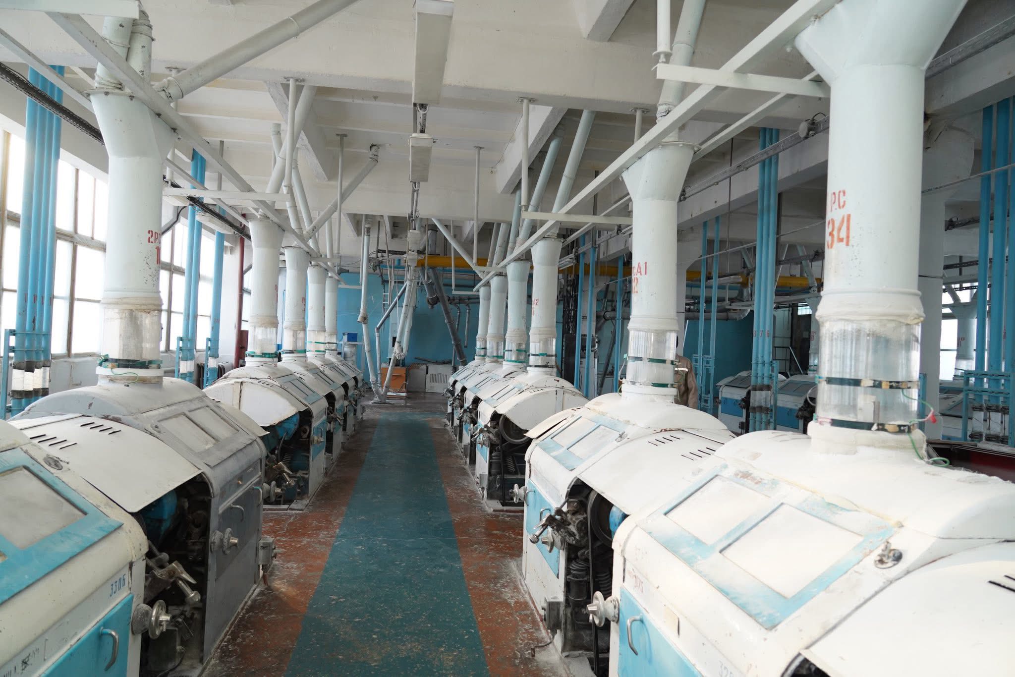 Túrkistan oblysynda bıdaı óńdeıtin zaýyt iske qosyldy