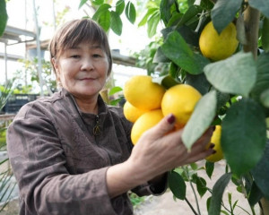 Qyzylordada lımon pisti