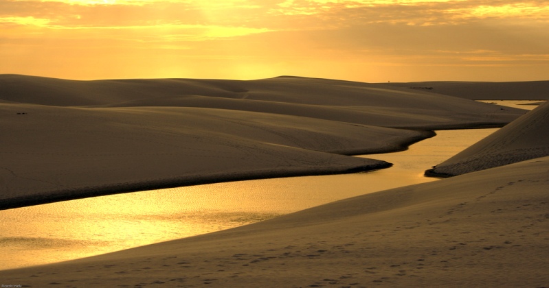 Afrıkadan Aralǵa deıin: Qum jutqan kólderdi qaıtsek qutqaramyz?
