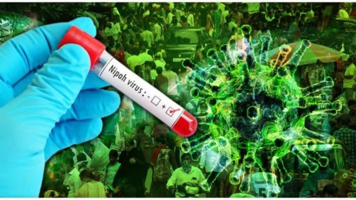 Dárigerler de dármensiz: Úndistanda emi joq vırýs tarady