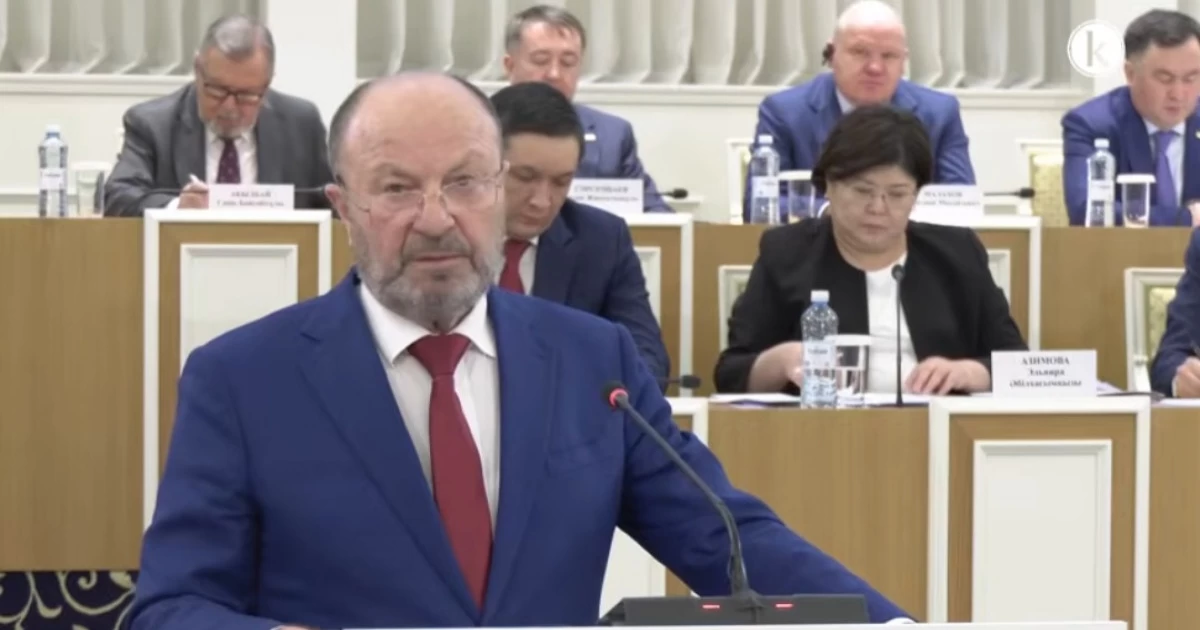 Isıdor Borchashvılı: Konstıtýsııalyq reforma – quqyqtyq birlik pen adamǵa baǵdarlanǵan tańdaý