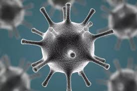 Jańa qaýipti vırýs: Úndistannan kelgen adamdar erekshe baqylaýda bolady