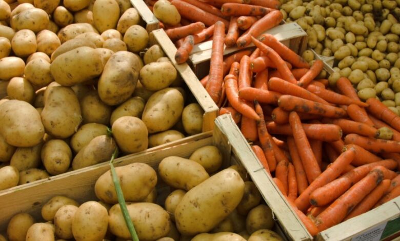 Kartop pen sábiz: 2026 jyly tapshylyq qaýpi bar ma?