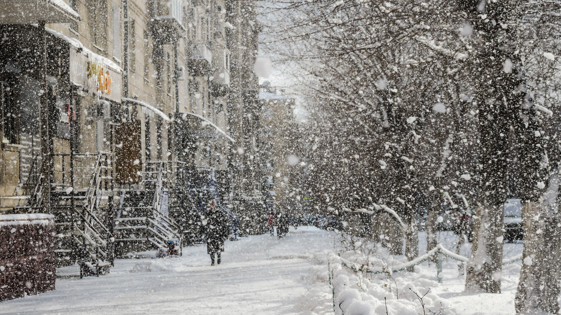 Jel, boran jáne kóktaıǵaq: Aldaǵy úsh kúnde aýa raıy qalaı qubylady?