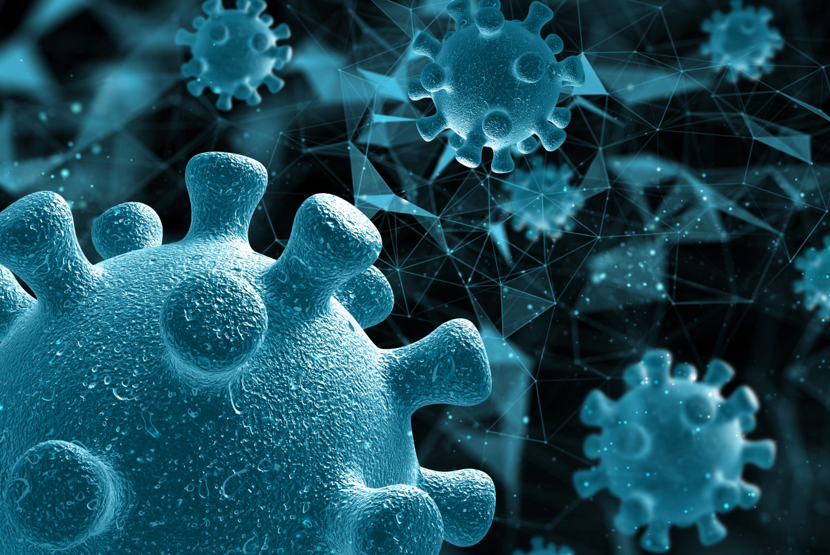 Úndistanda Nıpah vırýsyna qarsy qaýipsizdik sharalary kúsheıdi