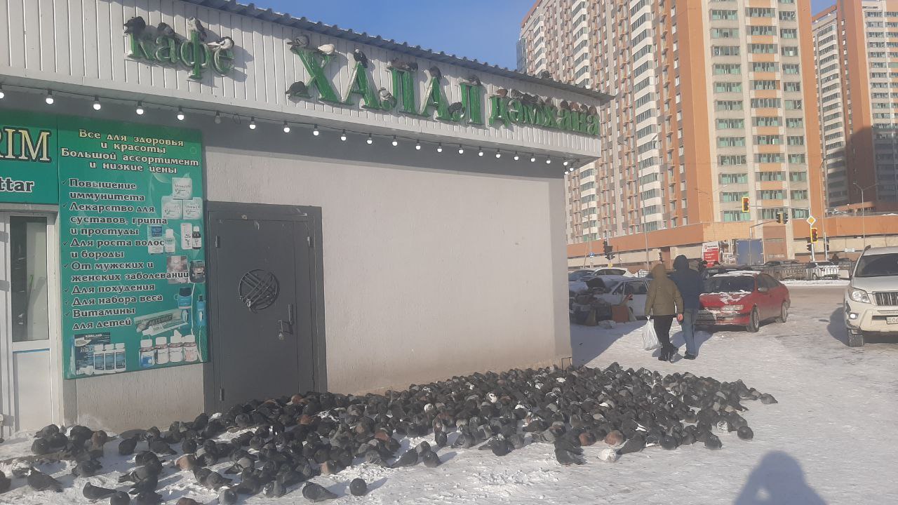 Qyraýdaı qatqan qara óleń