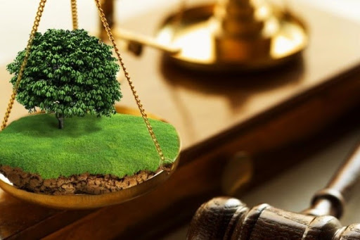 Almaty mańyndaǵy aýyl sharýashylyǵy jerlerin bólshekteý qashan toqtaıdy?