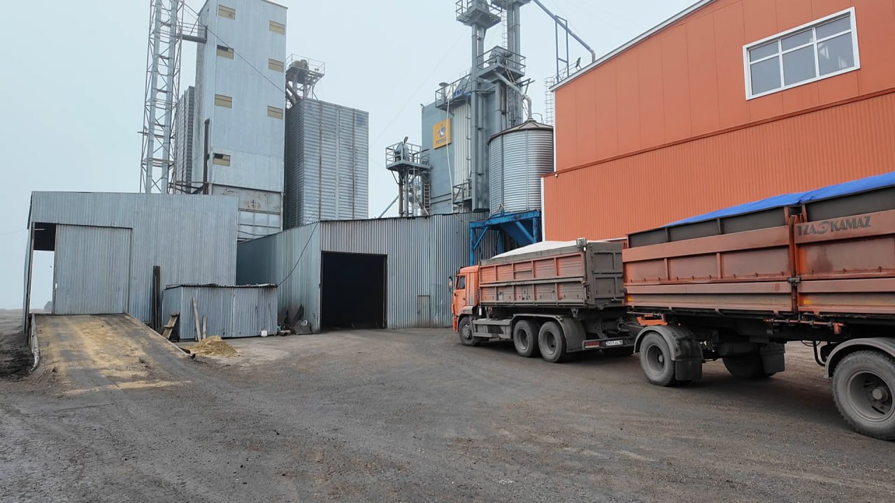 Maı zaýyty shıkizatqa zárý