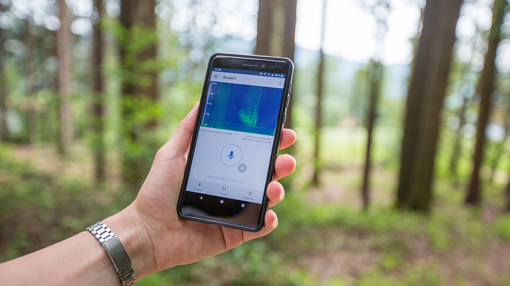 JI jyl qustaryn zertteýdiń jańa dáýirin ashty