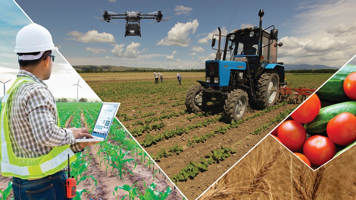 Agroónerkásip keshenin óristetýdiń mańyzy