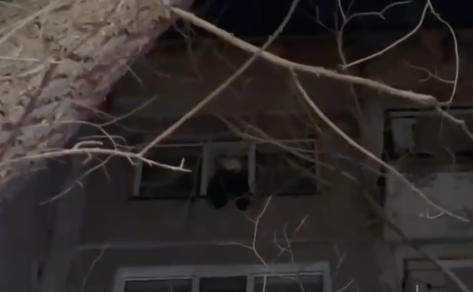 Qaraǵandyda qutqarýshylar tereze aldynda otyrǵan balany aman alyp qaldy