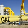 Reseıden Qazaqstanǵa ótetin gaz qubyry qashan iske qosylady?
